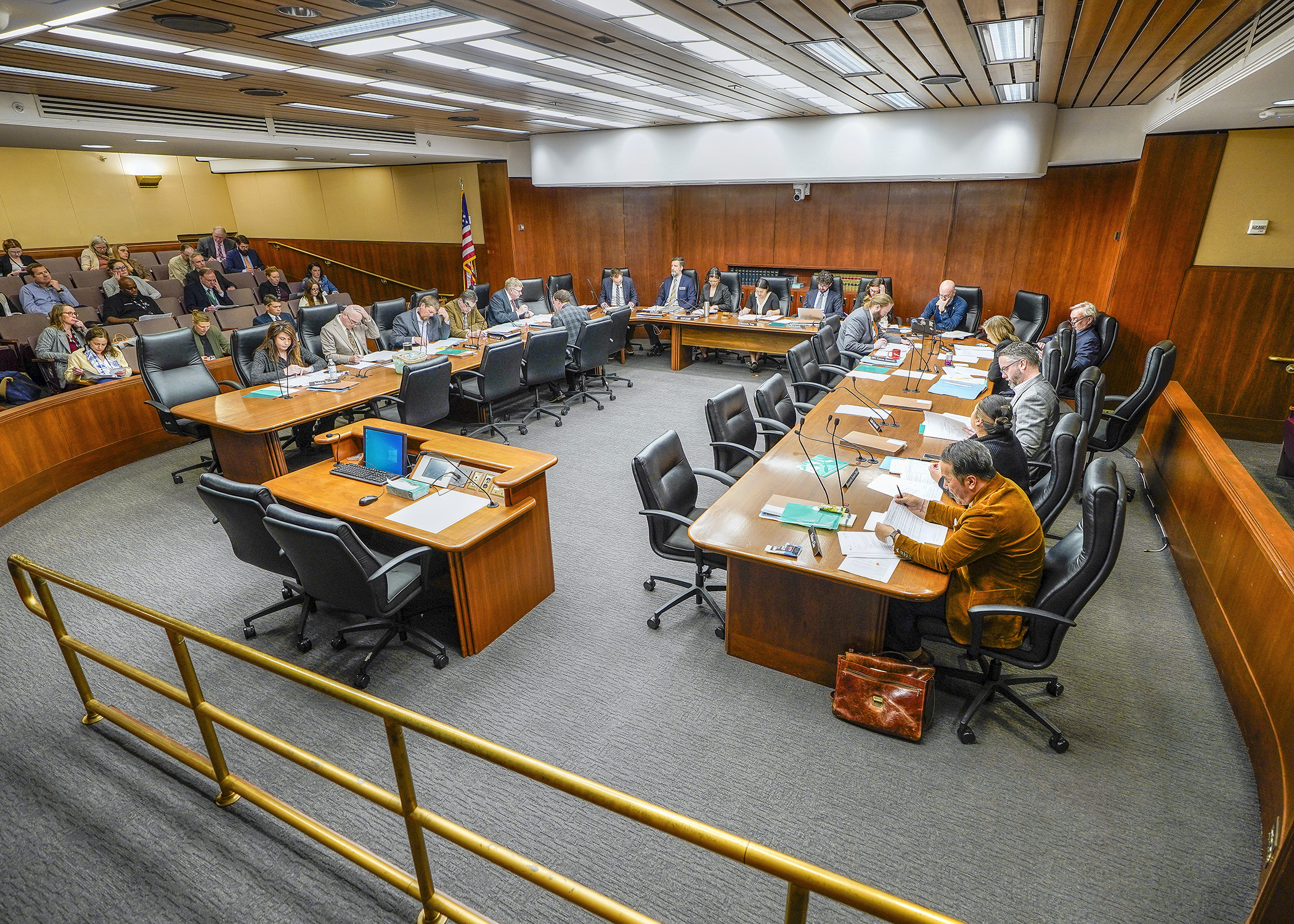 The House Agriculture Finance and Policy Committee listens as staff from the nonpartisan House Research Department walks through the agriculture finance bill April 16. (Photo by Andrew VonBank)